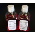  Cell Culture Basal Medium (Without Glucose and Phenol Red) – 500 ML