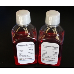 Rat Endothelial Cell Basel Medium - 500 ml