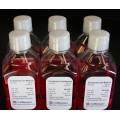 Complete Hepatocyte Medium /w Kit – 125 ML