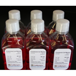 Complete Hepatocyte Medium /w Kit – 125 ML