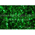 BALB/c Mouse Primary Brain Microvascular Endothelial Cells